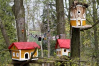 /album/fotogalerie-farma-blanik-zabavni-park-pro-deti/chaloupky-2015-jpg/